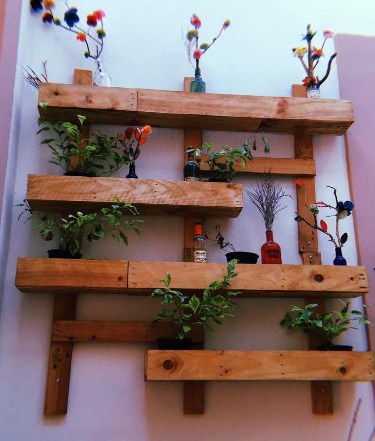 Maria Bonita Hostel Guadalajara Luaran gambar